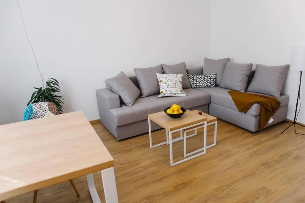Millennium Bridge Cozy Apartment Top Location Podgorica Esterno foto
